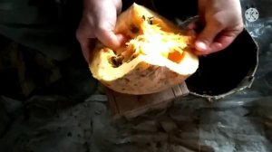 Тыква и её семена без кожуры. Голосеменная тыква. Семечки которые не надо чистить, для ленивых!!!