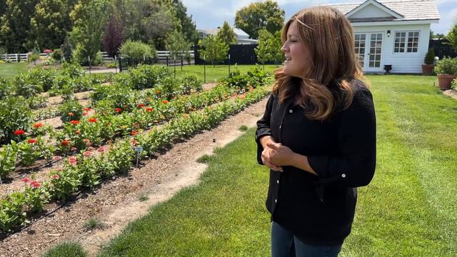 June Tour of Our South Garden! 🌿 // Garden Answer смотреть онлайн