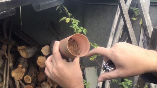 Зачем нужна глина для опыления смотреть онлайн