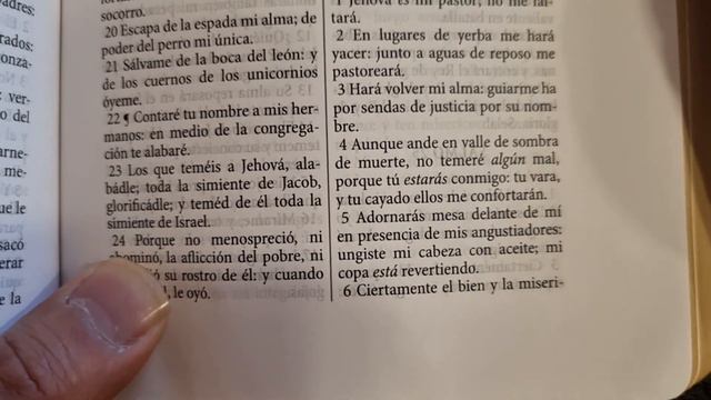 ¡CONÓCELA! La Santa Biblia Reina Valera 1865 смотреть онлайн