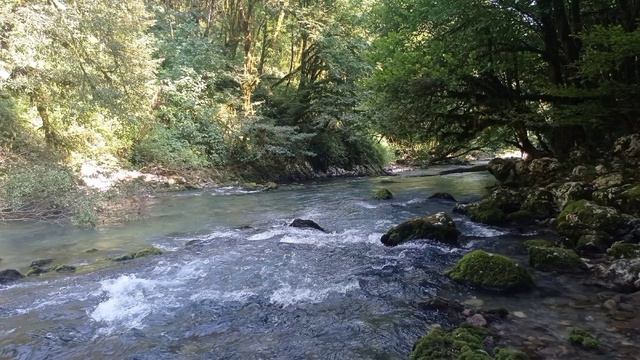 форелевое хозяйство Абхазия. часть 1 смотреть онлайн