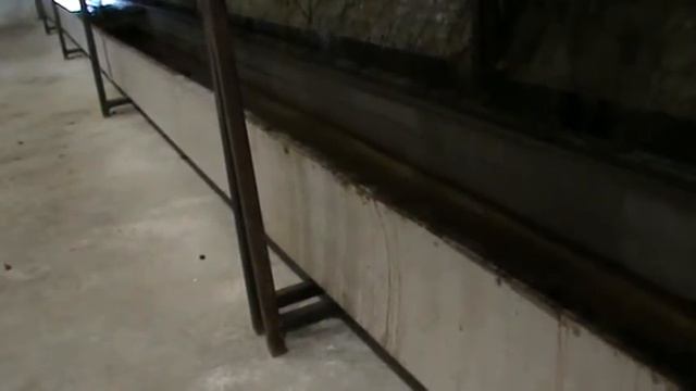 Самсон Кроль Навозоудаление. смотреть онлайн