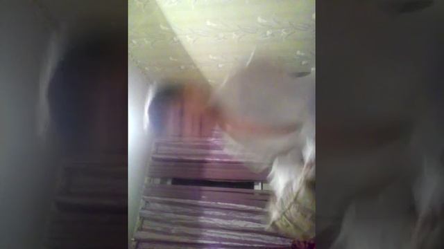 Борьба по дзюдо смотреть онлайн