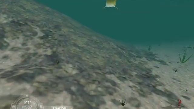 The Game -Shark Hunting the Great White-Career Mode-Level 1 - California Beach смотреть онлайн