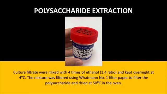 Extraction and Antimicrobial Properties of Polysaccharide from Pleurotus eryngii смотреть онлайн
