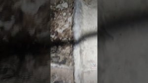 как проверить датчик заднего хода, Volkswagen B5+...................... .................