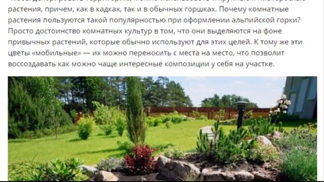 Комнатные растения для альпинария Обзор видов, преимущества смотреть онлайн