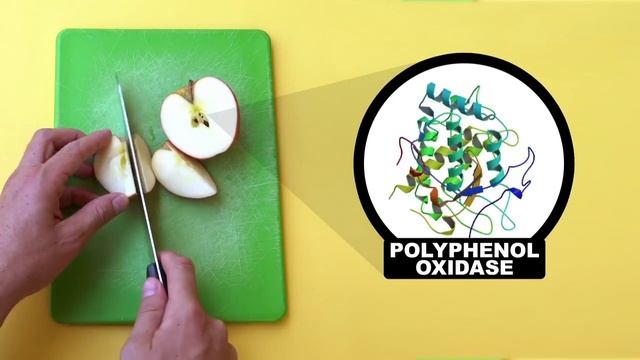 Химические лайфхаки на кухне смотреть онлайн