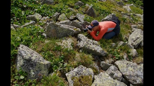 "Поднебесные зубья" смотреть онлайн