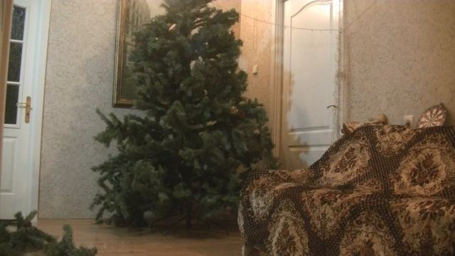 Забыли про ЕЛКУ!!! смотреть онлайн