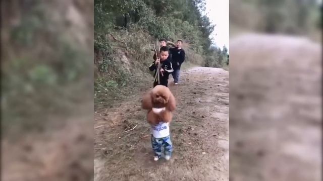 What This Octopus Did Shocked The Whole World.. смотреть онлайн