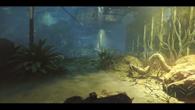 Editor Showcase #281 - Rufio [BO3 Zombies!] смотреть онлайн