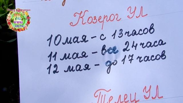 Лучшие дни для квашения капусты в мае 2020 года. Когда северянам приготовить вкусную капусту? смотреть онлайн