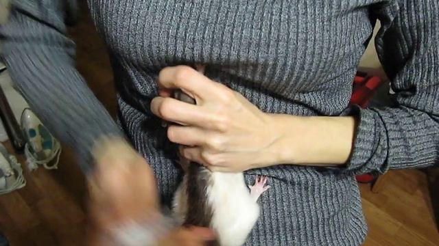 Фрося ципролет смотреть онлайн