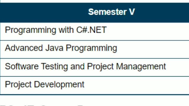 BSc IT Subjects | BSc IT Syllabus | BSc IT Subjects for First Year | BSc IT Syllabus Semester 1 смотреть онлайн