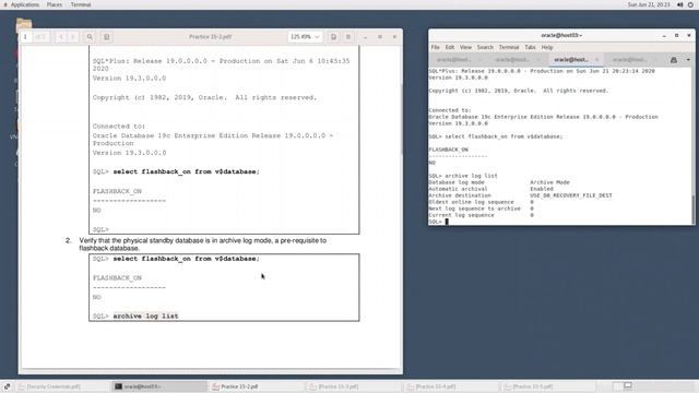 Using Flashback Database in a Data Guard Configuration (15/19) смотреть онлайн