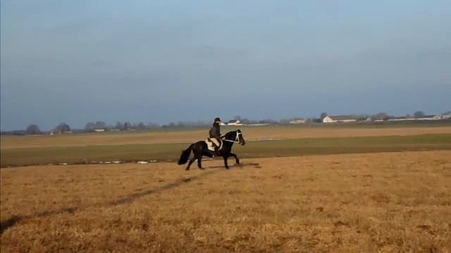 MAH00424 смотреть онлайн