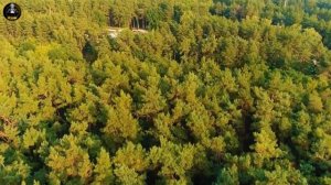 САМЫЕ БОЛЬШИЕ КЛАДЫ НАЙДЕННЫЕ ЗА 100 ЛЕТ