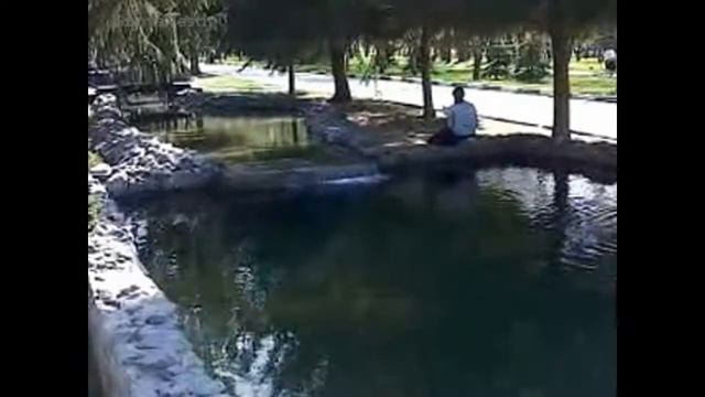 Утки. Фонтан. Белгород Ducks. Fountain. Belgorod смотреть онлайн