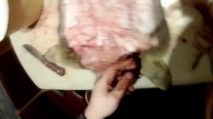 Таксидермия голова косули часть 2 подготовка шкурки