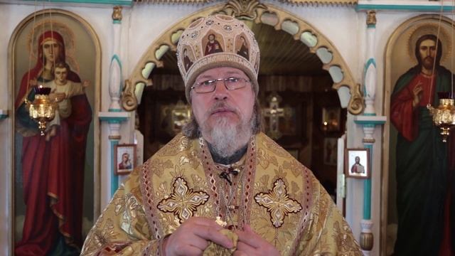 Проповедь митрополита МАРКА. Образ Божией Матери "Отрада и Утешение" (25.06.2022 г.) смотреть онлайн