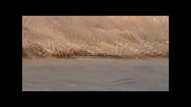 Астрахань беспредел на берегах. Камызяк смотреть онлайн