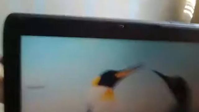 Ноутбук с1988 года смотреть онлайн