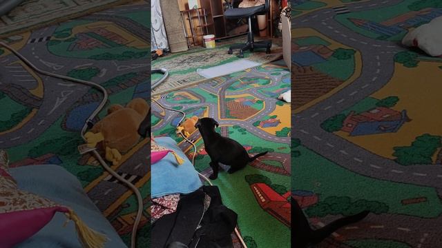 26 января 2024 г. смотреть онлайн