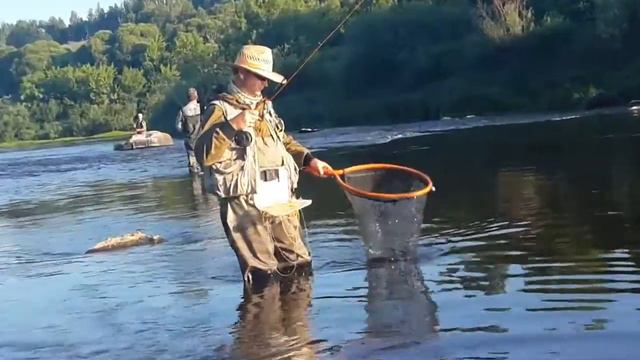 Днепр . Ловля на нахлыст 2016 смотреть онлайн
