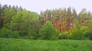 Михаил  Гулько - «Синее  небо  России»