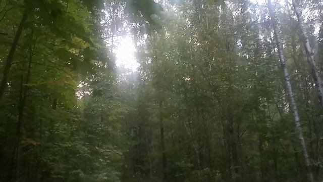 осень в Лосином острове смотреть онлайн