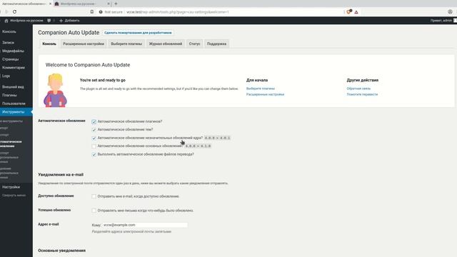 Как включить автоматическое обновление плагинов и тем в Wordpress смотреть онлайн