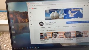 Разговоры о Высоколетных бесскружных голубях Донбасса. Голуби, Люди  и История.