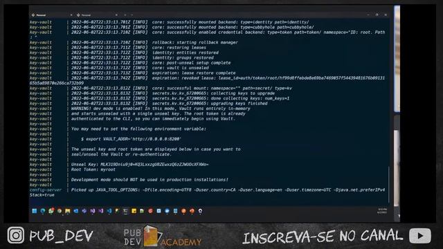 NET6 + Spring Cloud Config - Pub Dev Academy #11 смотреть онлайн