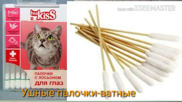 Не много про кошек! смотреть онлайн