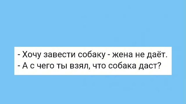 Говорящая Собака и Роспись Хр@ном!!! Смешная Подборка Анекдотов!!! смотреть онлайн