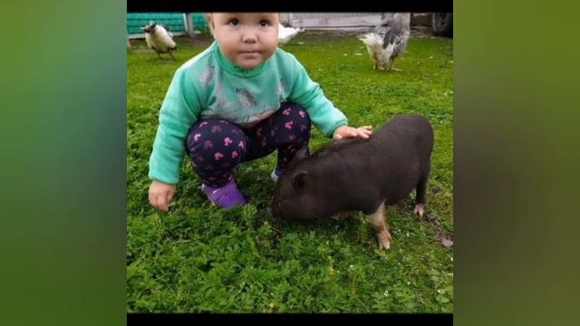 С Днем домашних животных! Средняя группа Б смотреть онлайн