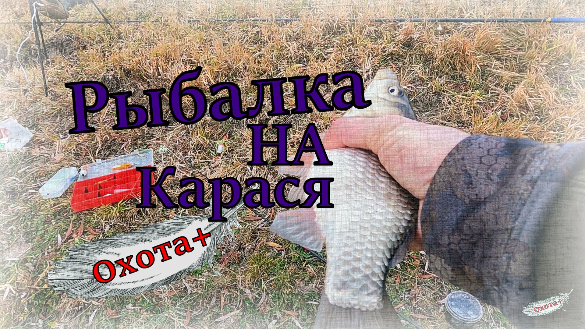 Рыбалка на карася, Поздняя осень Октябрь 2022. #рыбалка #рыбалка2022 #карась #осень #охота #Охота+ смотреть онлайн