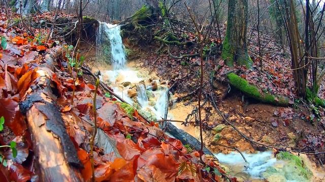 Исцеление рода. Раскрытие предназначения. Курс Активации работы с Сознанием. Занятие 1. Школа Света смотреть онлайн