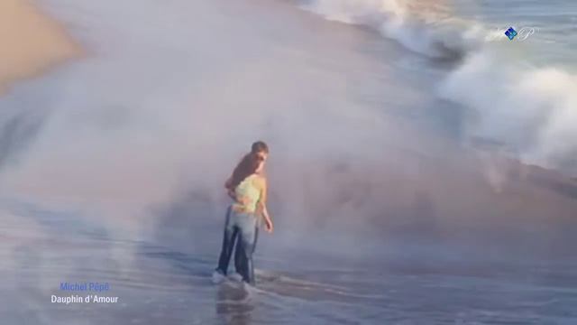 Michel Pépé - Dauphin D'Amour смотреть онлайн