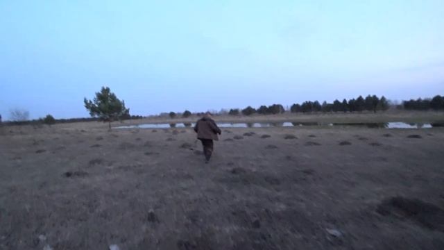 Охота с подсадными утками на весеннего селезня! смотреть онлайн