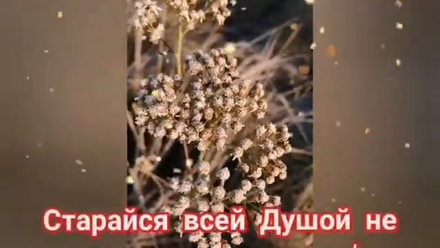 добрый день с пожеланием.