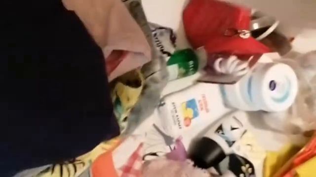 Что брать из вещей на отдых в Абхазию. 2021 смотреть онлайн
