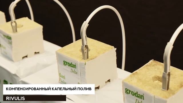 Стеллаж для выращивания земляники смотреть онлайн