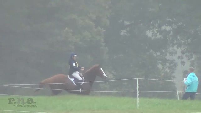 Arden Wildasin & IL Vici Fair Hill CCI 2 Star 2017 смотреть онлайн