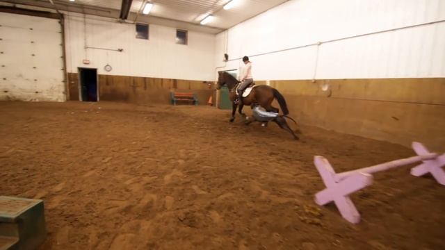 Horse Riding - Show Jumping Girl - Glidecam HD 2000 смотреть онлайн