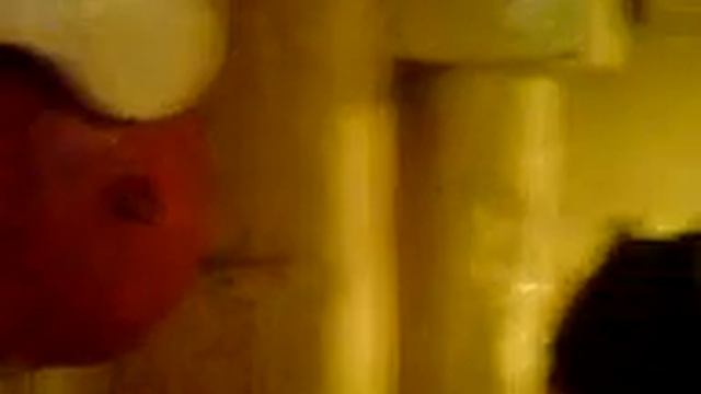 Матрос Мирошник БДК Новочеркасск смотреть онлайн