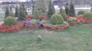 НОВЫЙ БУЛЬВАР В СУМГАИТЕ