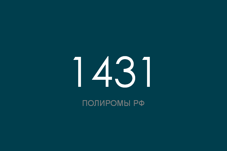ПОЛИРОМ номер 1431 смотреть онлайн