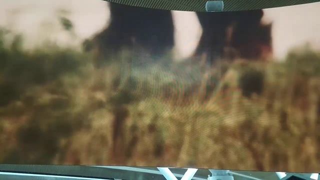 Жизнь на Дону. Аэропорт Платов, в зале ожидания. смотреть онлайн